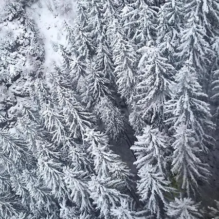 Jaktstuga Hideout Morzine